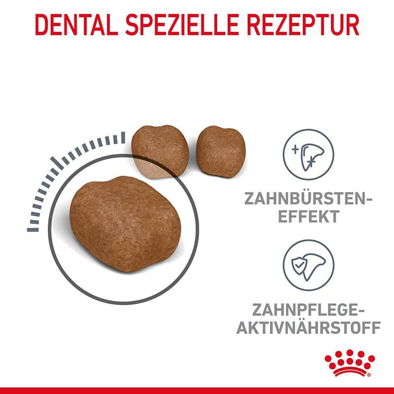 Royal Canin Dental Care Katzennahrung trocken für gesunde Zähne (ORAL CARE)_4