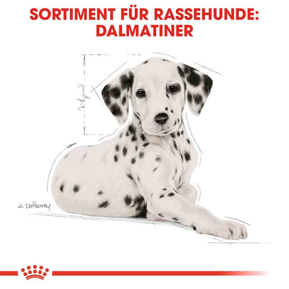 Royal Canin Dalmatian Puppy Welpenfutter_5