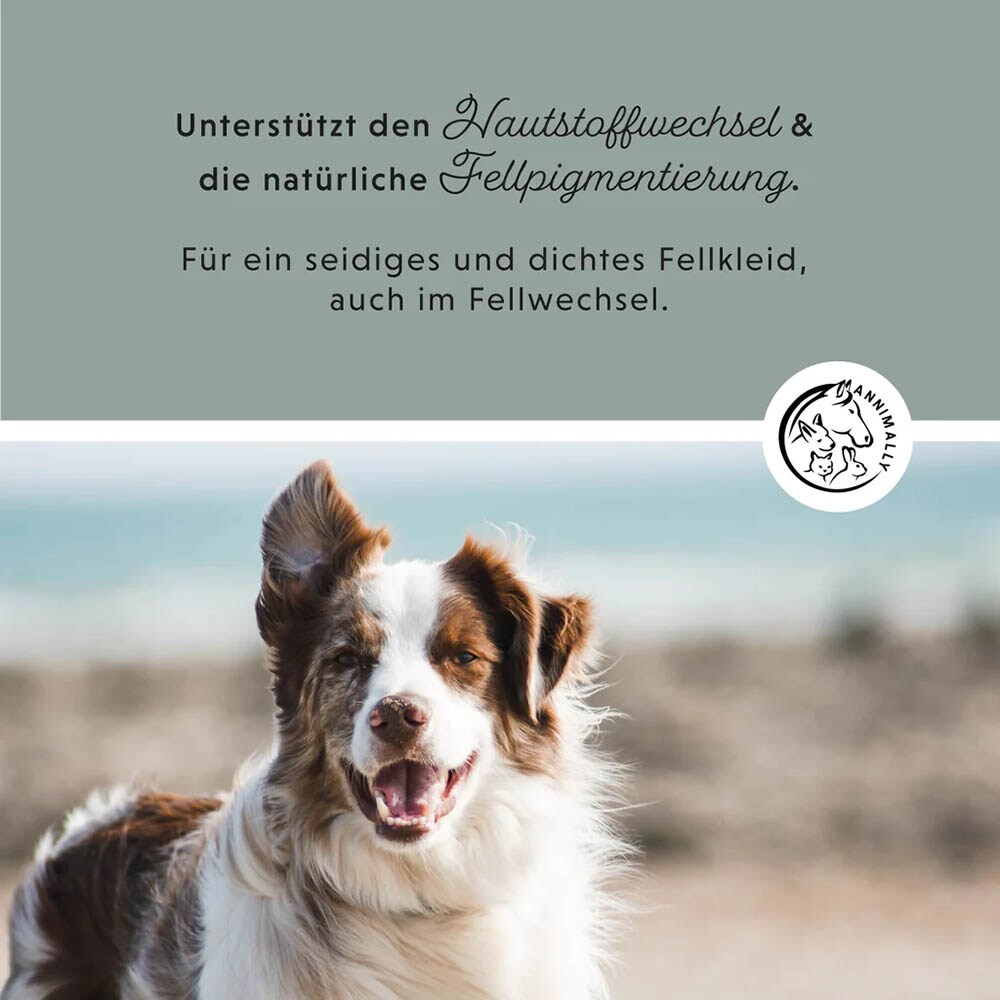 Annimally Seealgenmehl_3