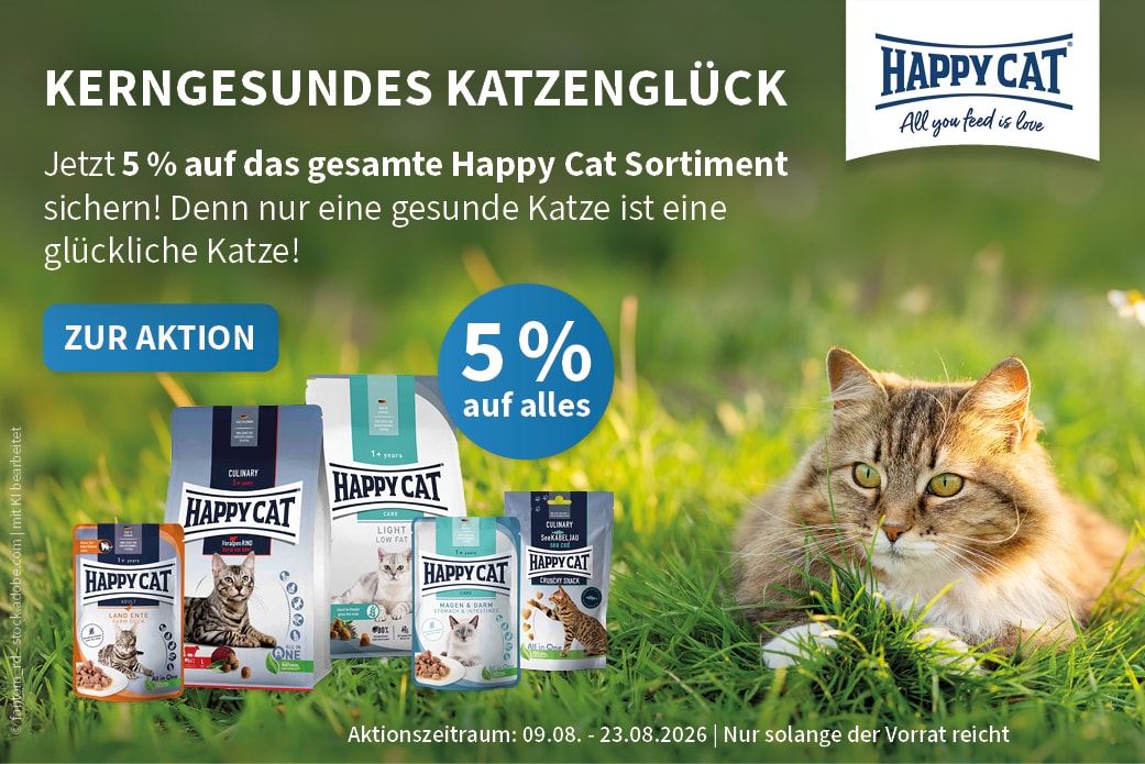 Happy Cat Happy Cat