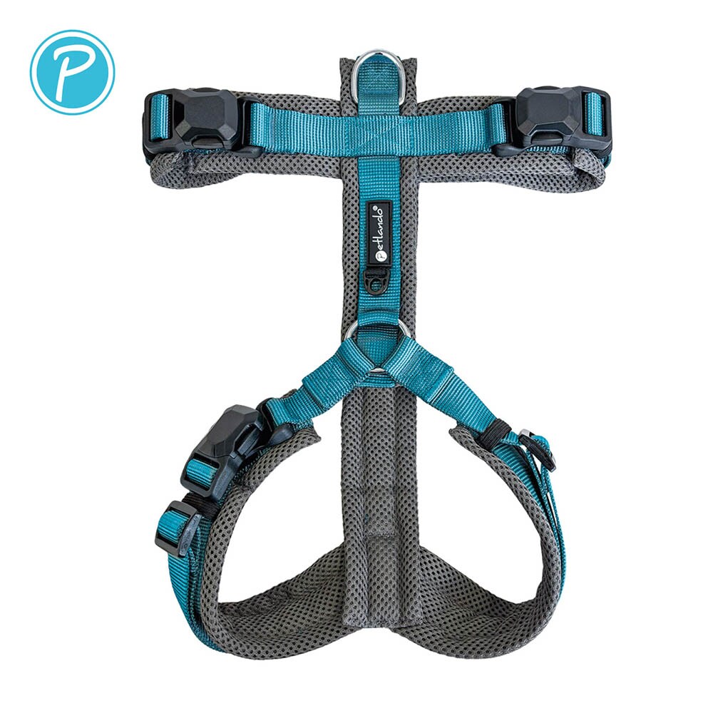 Petlando Magnetech Y-Comfort Geschirr anthrazit/petrol_1