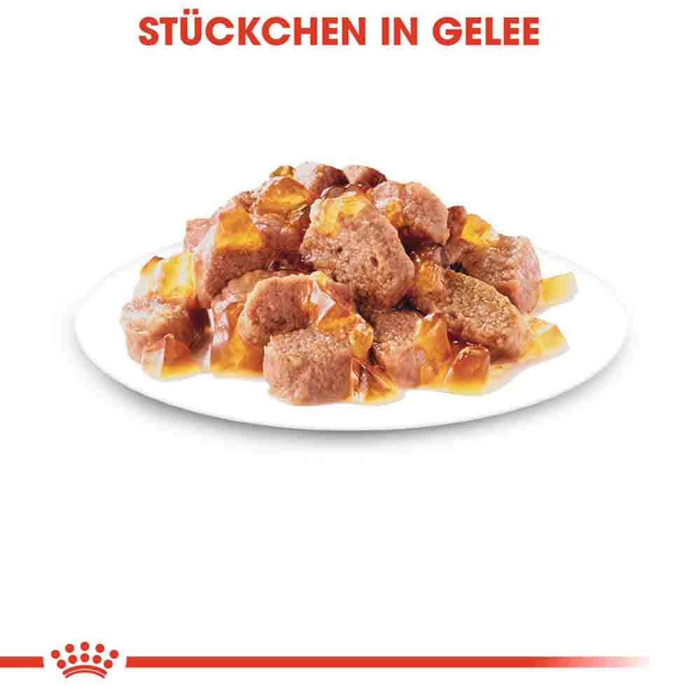 Royal Canin Sterilised Nassfutter in Gelee für kastrierte Katzen_3
