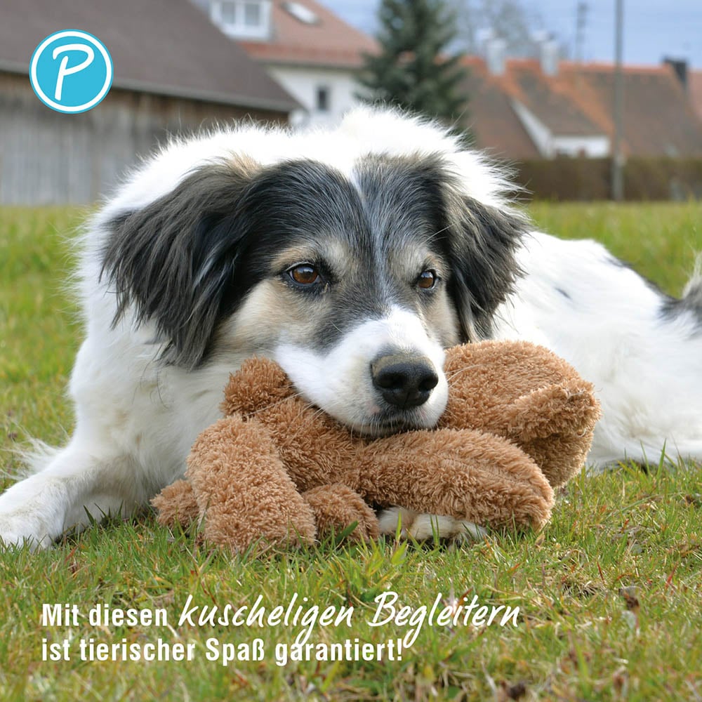 Petlando Moodles Bär Balu_3