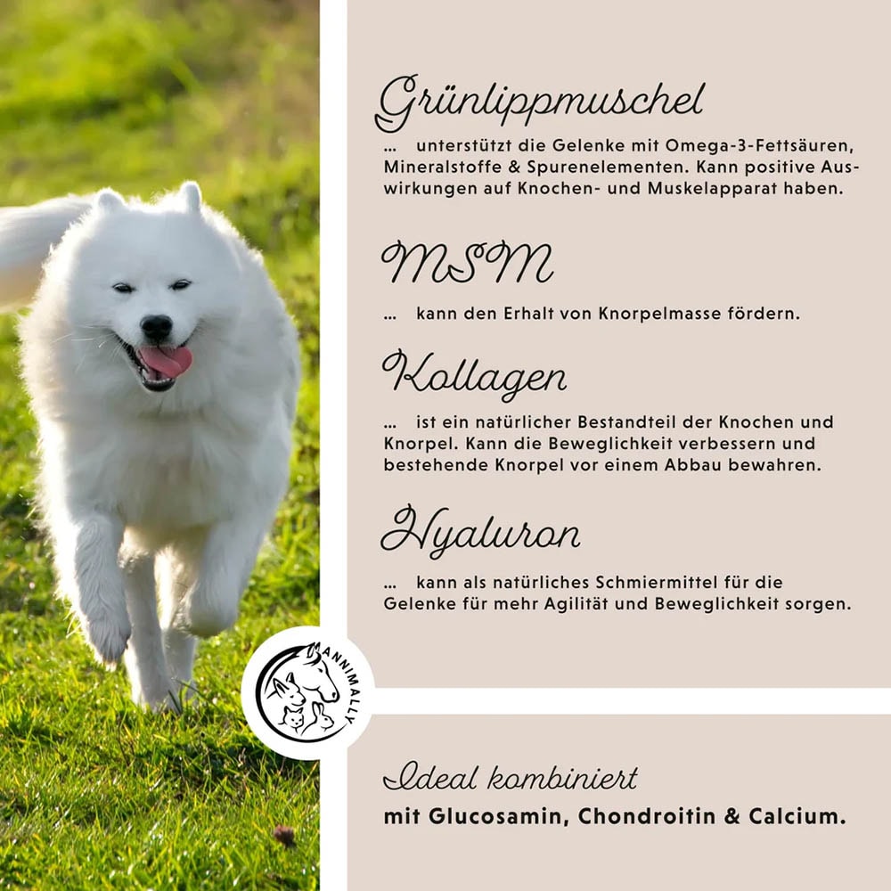 Annimally Gelenkpulver_3