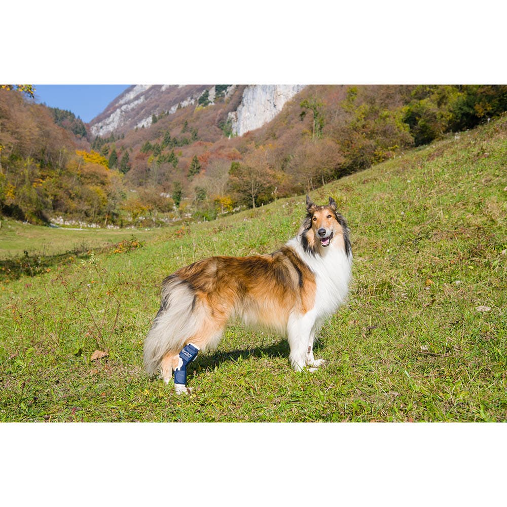 Balto Rehab-Orthese BT Hock_1