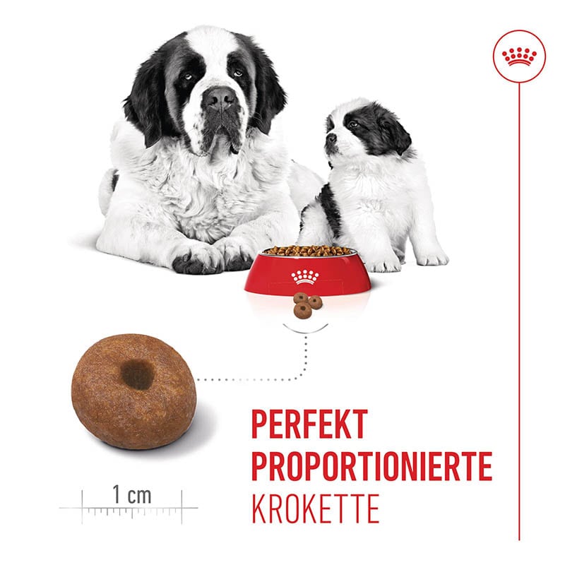 Royal Canin Giant Starter für tragende Hündin und Welpen großer Rassen_3