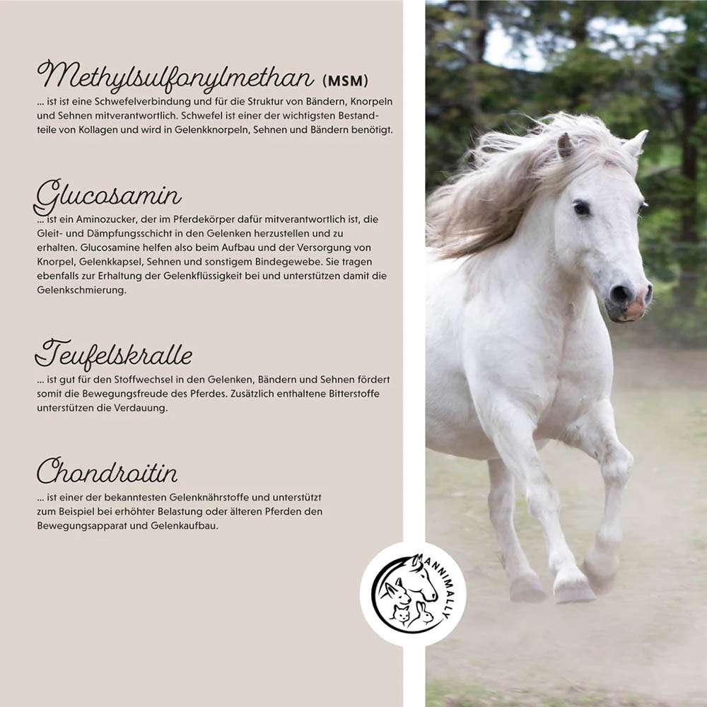 Annimally Bewegungsfreude Pulver_4