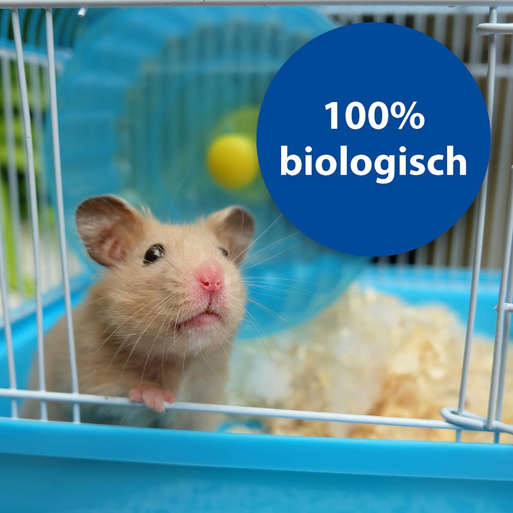 Bactazol Geruchsentferner_5