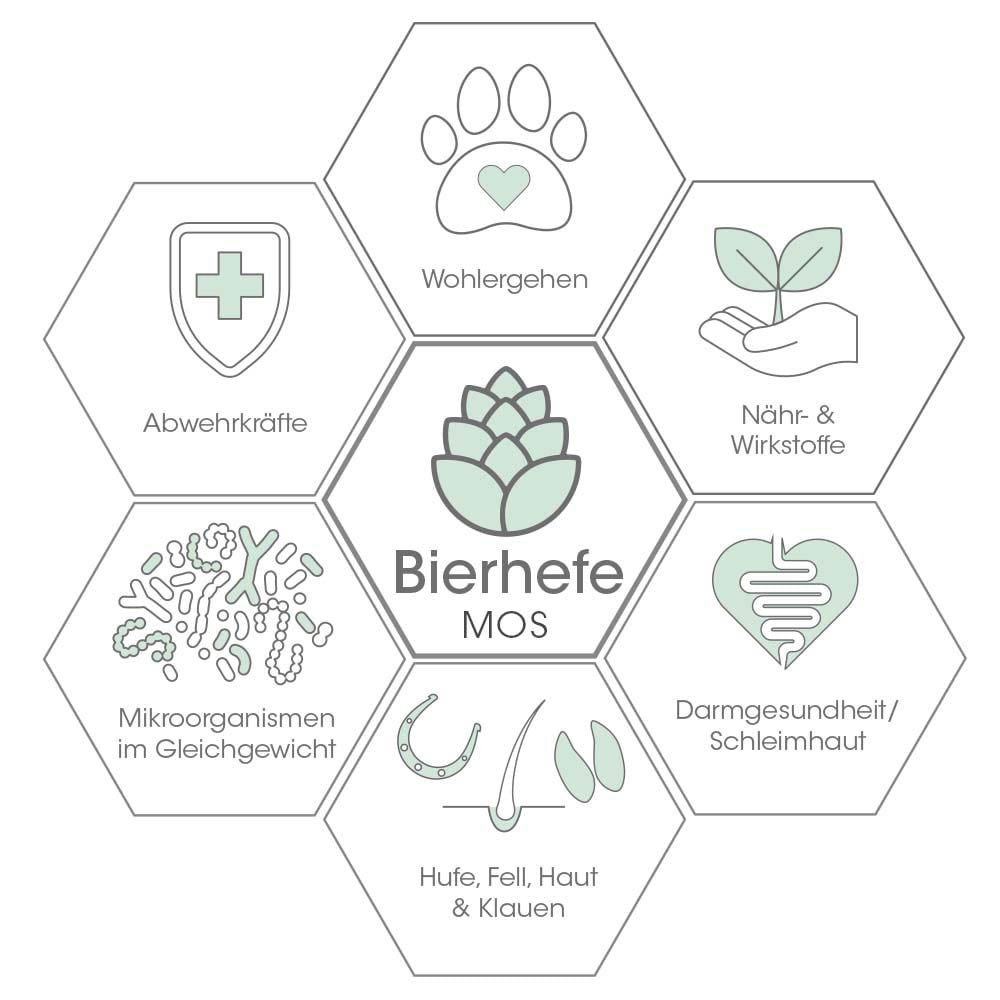 cdVet DarmRein Pro_4