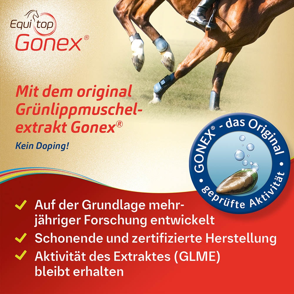 Boehringer Ingelheim Equitop Gonex_4