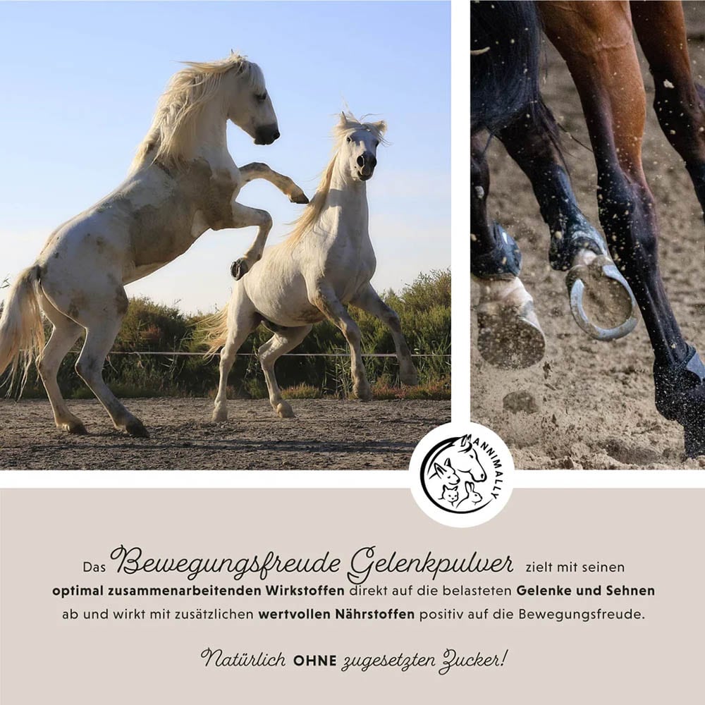 Annimally Bewegungsfreude Pulver_3
