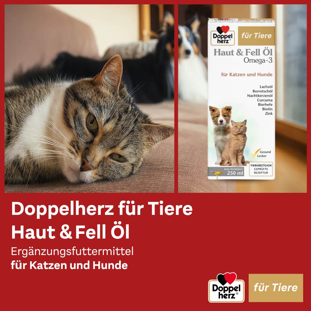 Doppelherz Haut und Fell Öl für Hunde und Katzen _4