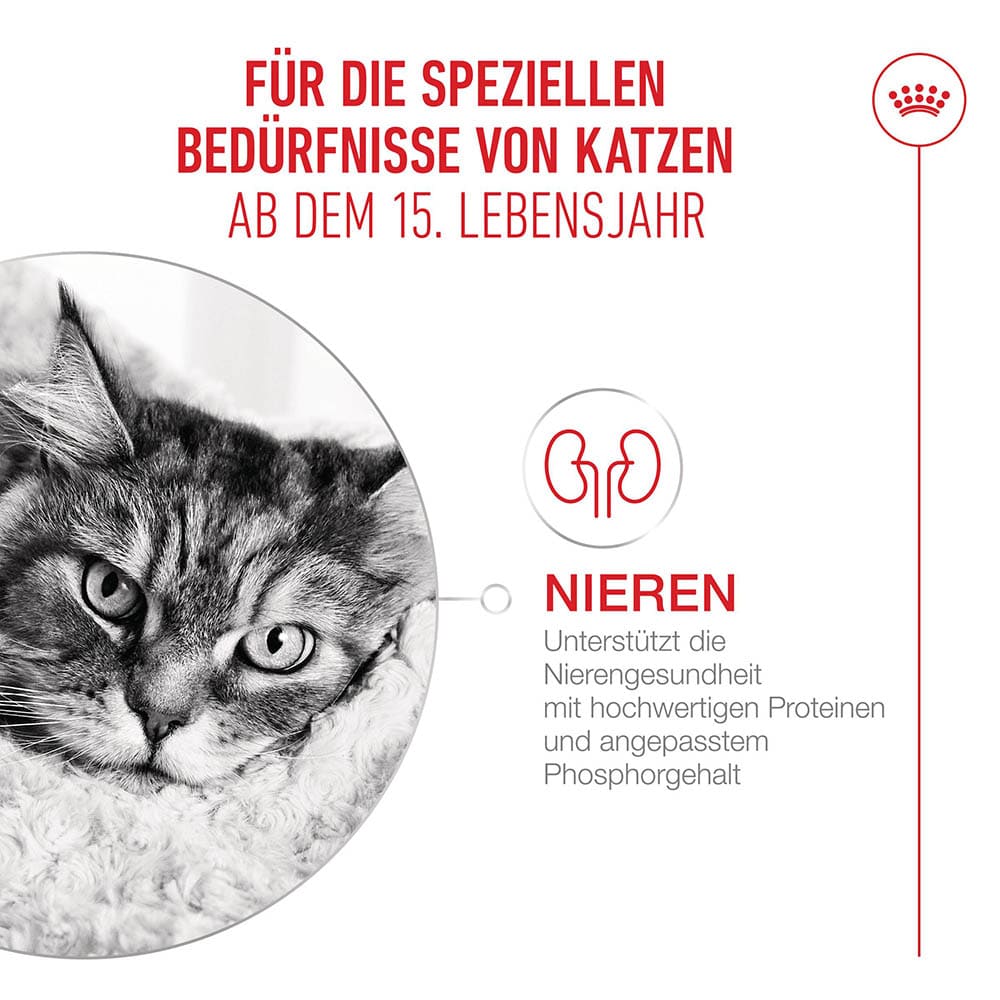 Royal Canin Ageing 15+ Feuchtnahrung in Soße für Senior Katzen ab dem 15. Lebensjahr_3