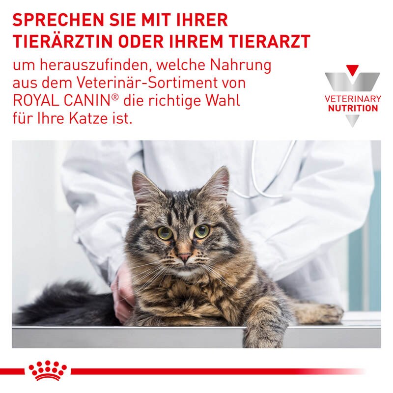 Royal Canin Expert Neutered Balance Nassfutter für Katzen_7