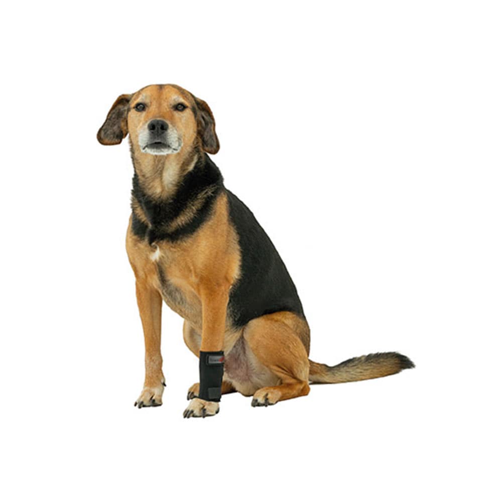 Tierarzt24 Neopren Carpusprotektor_0
