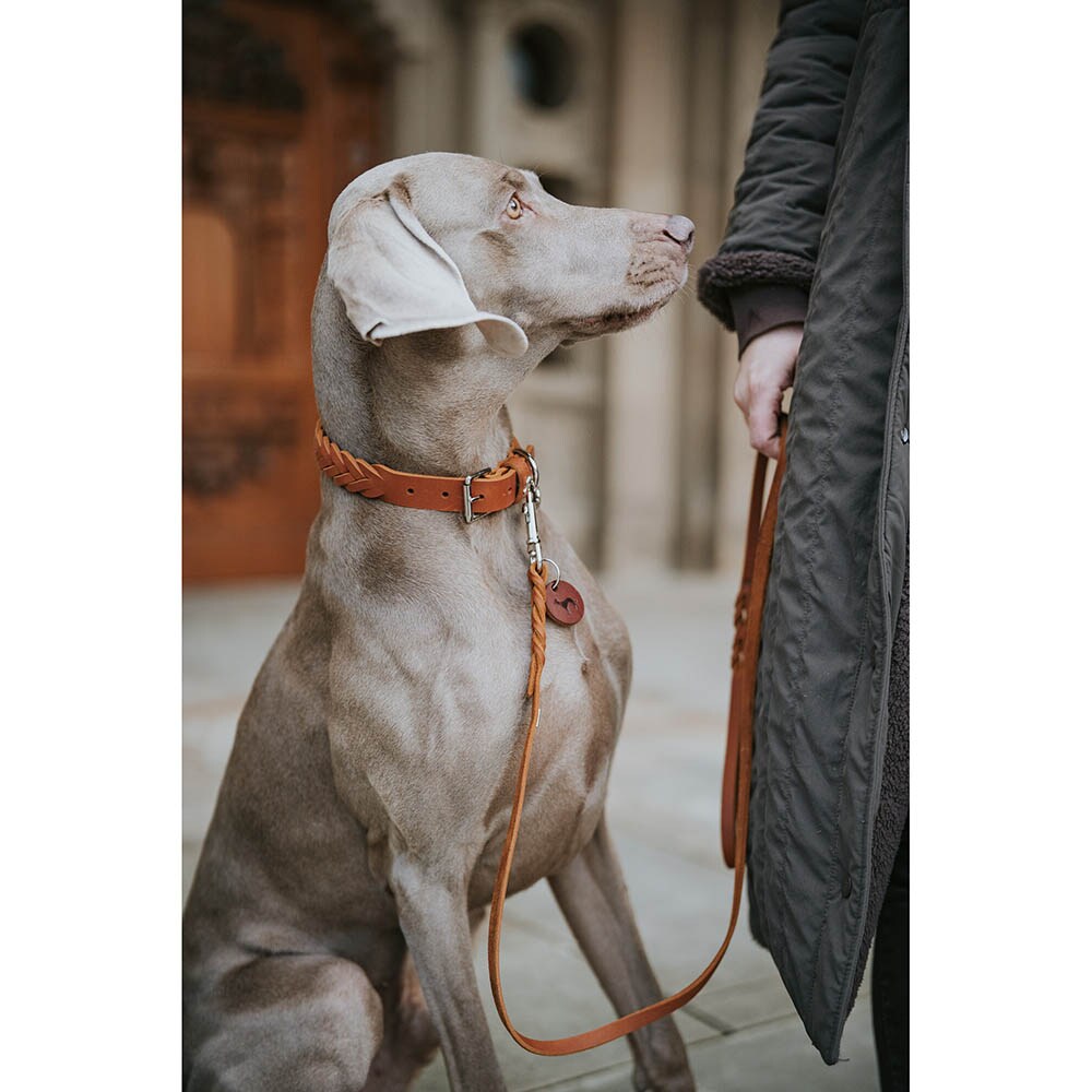 Hunter Halsband Solid Education Special cognac_5