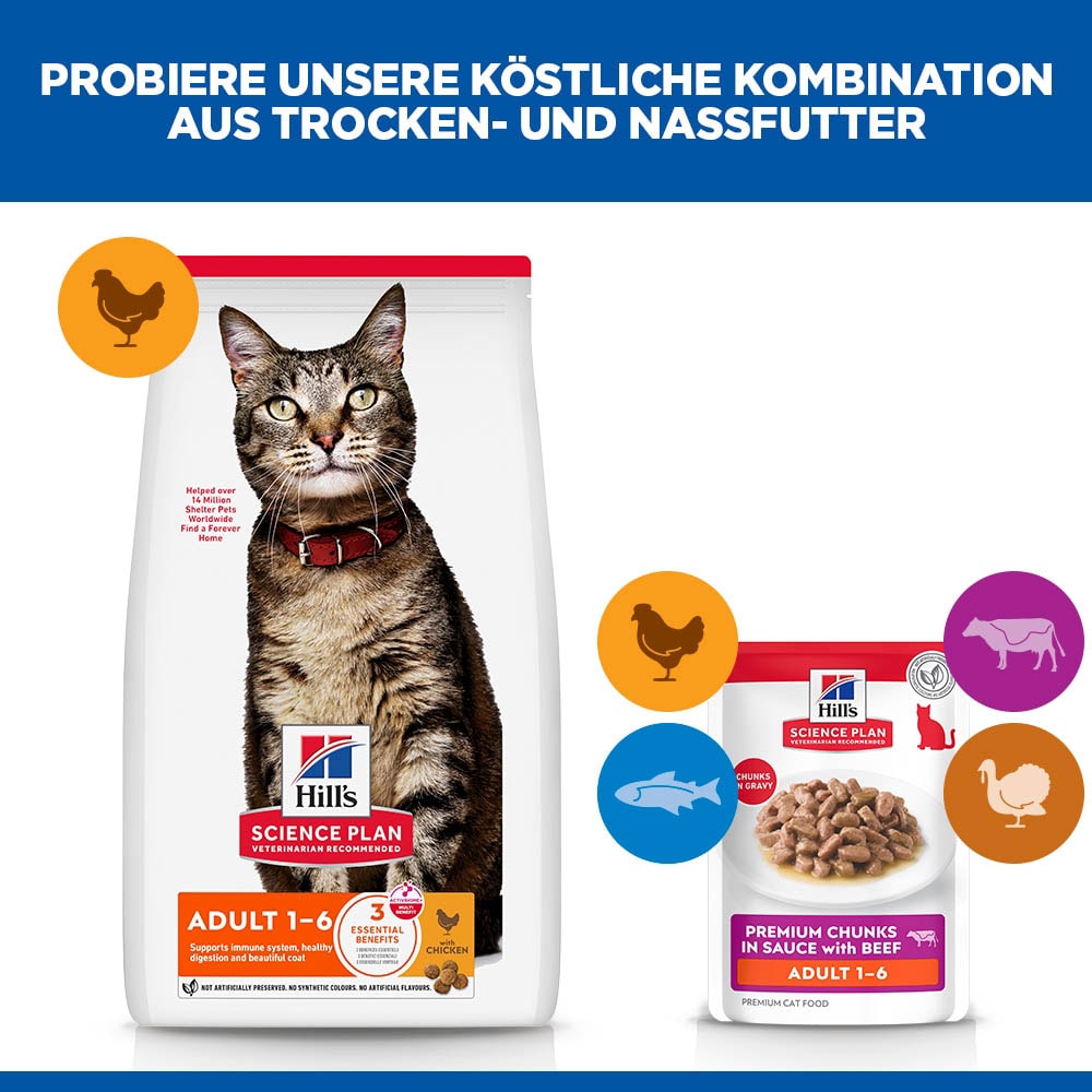 Hills Science Plan Adult Rind Nassfutter für Katzen_6