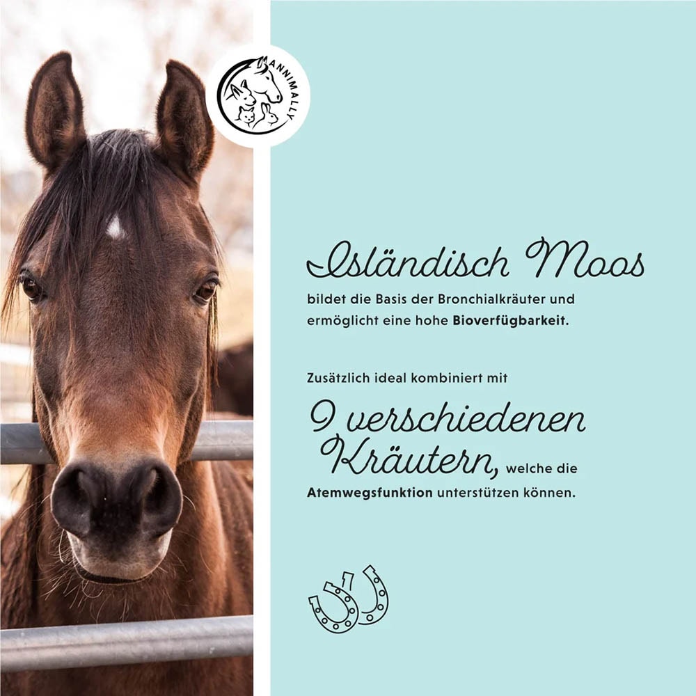 Annimally Bronchial Liquid_3