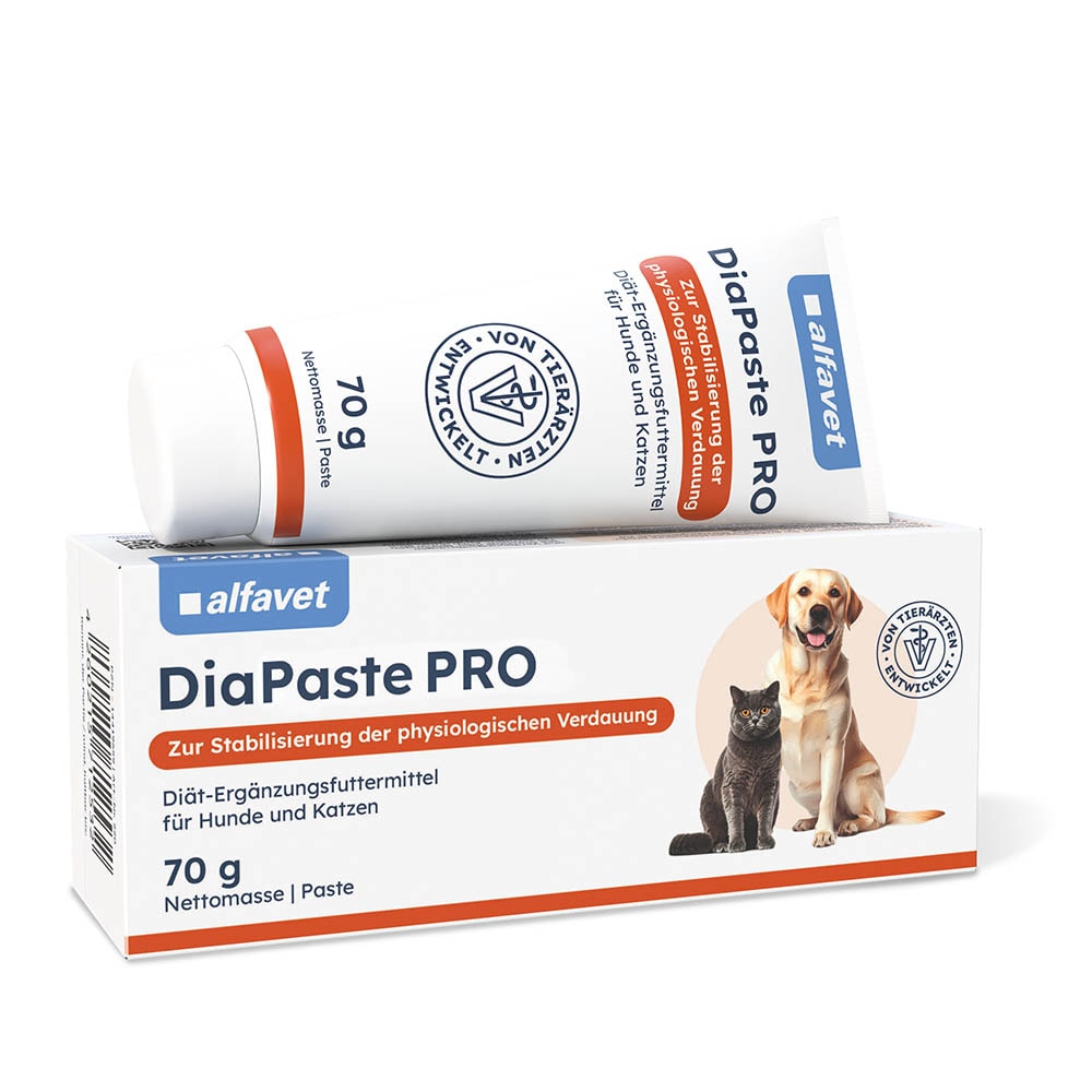 Alfavet DiaPaste Pro_0