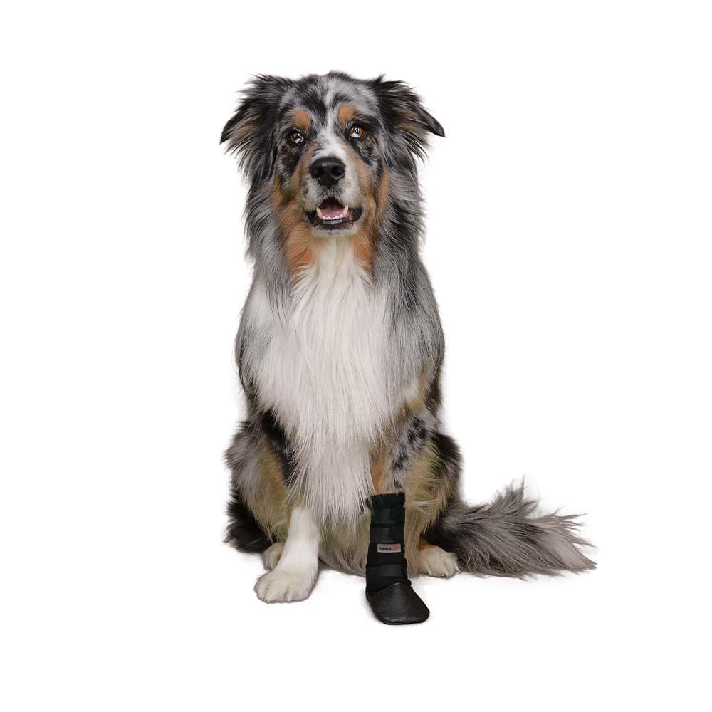 Tierarzt24 Hundeschutzstiefel _0