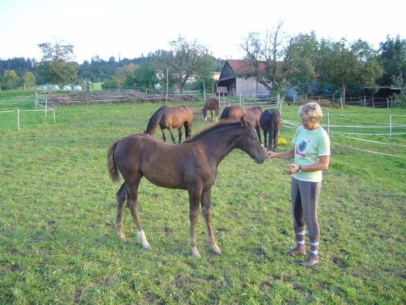 Brigitte Seemann Tierärztin