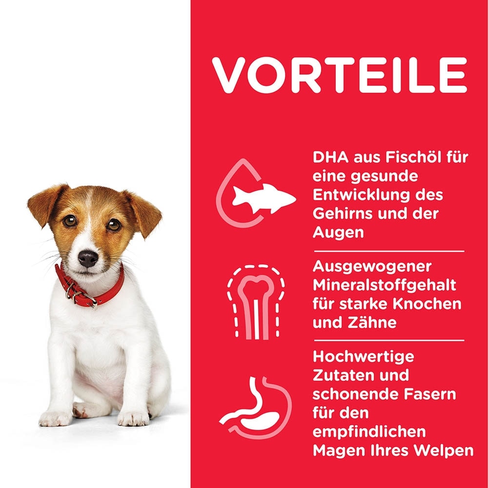 Hills Science Plan Canine Puppy Small & Mini mit Huhn_4