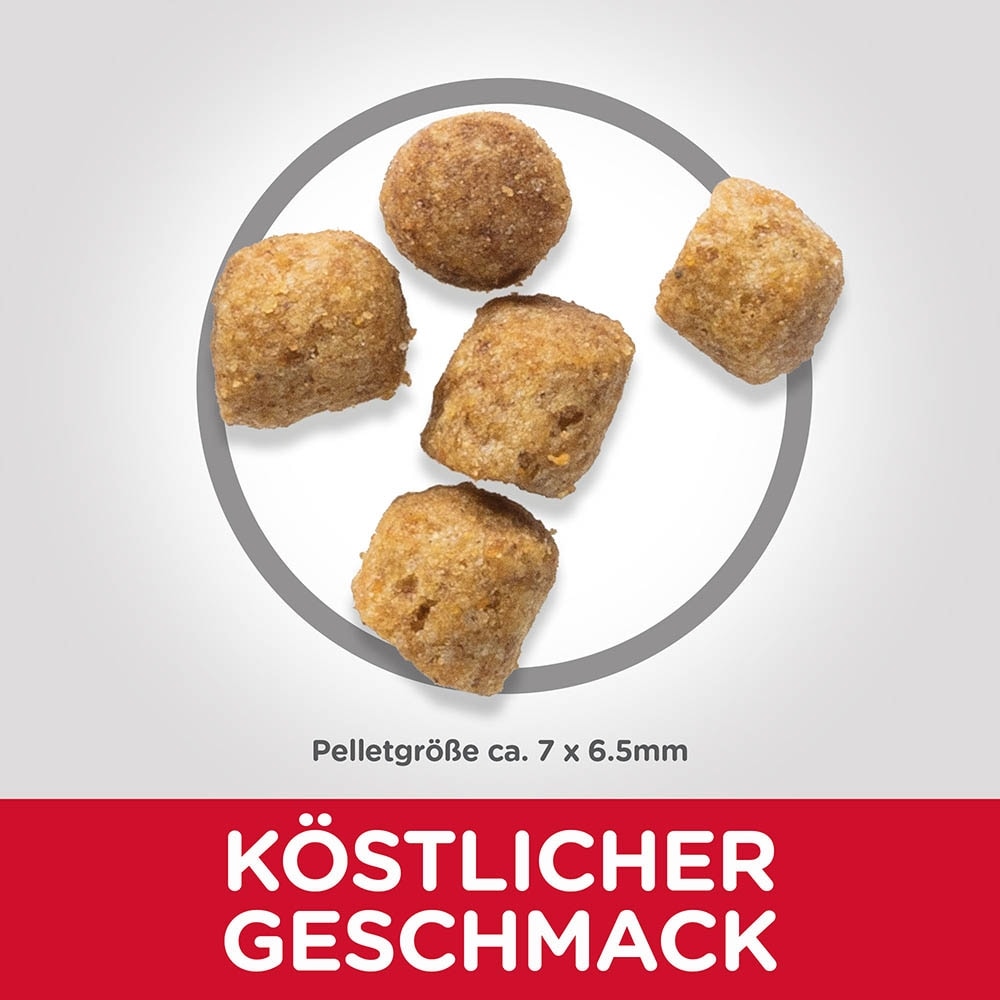 Hills Science Plan Feline Adult Light Huhn_3