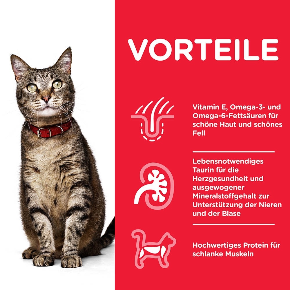 Hills Science Plan Feline Adult  Thunfisch_2