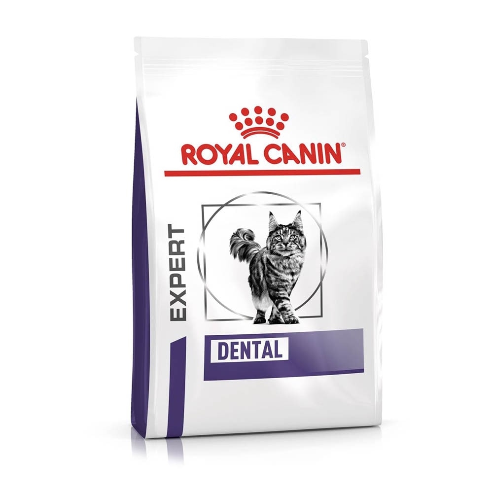 Royal Canin Expert Dental Trockenfutter für Katzen_1