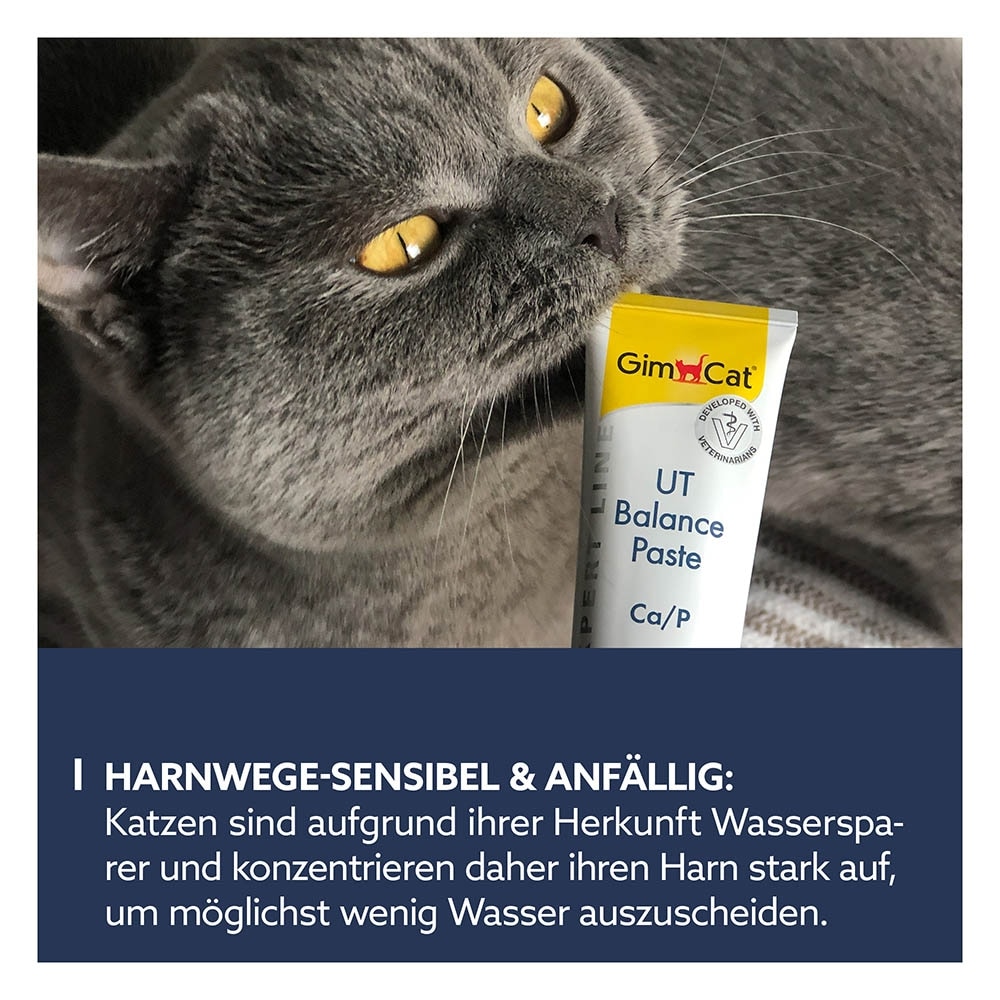 GimCat UT Balance Paste_3