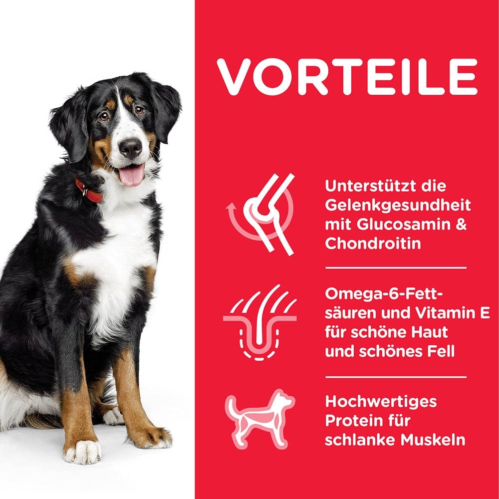 Hills Science Plan Canine Adult Large Breed mit Huhn_3