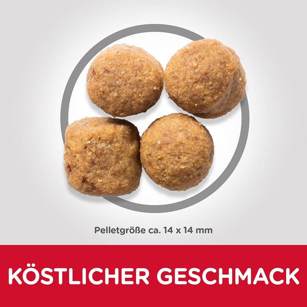 Hills Science Plan Canine Adult Large Breed mit Huhn_4