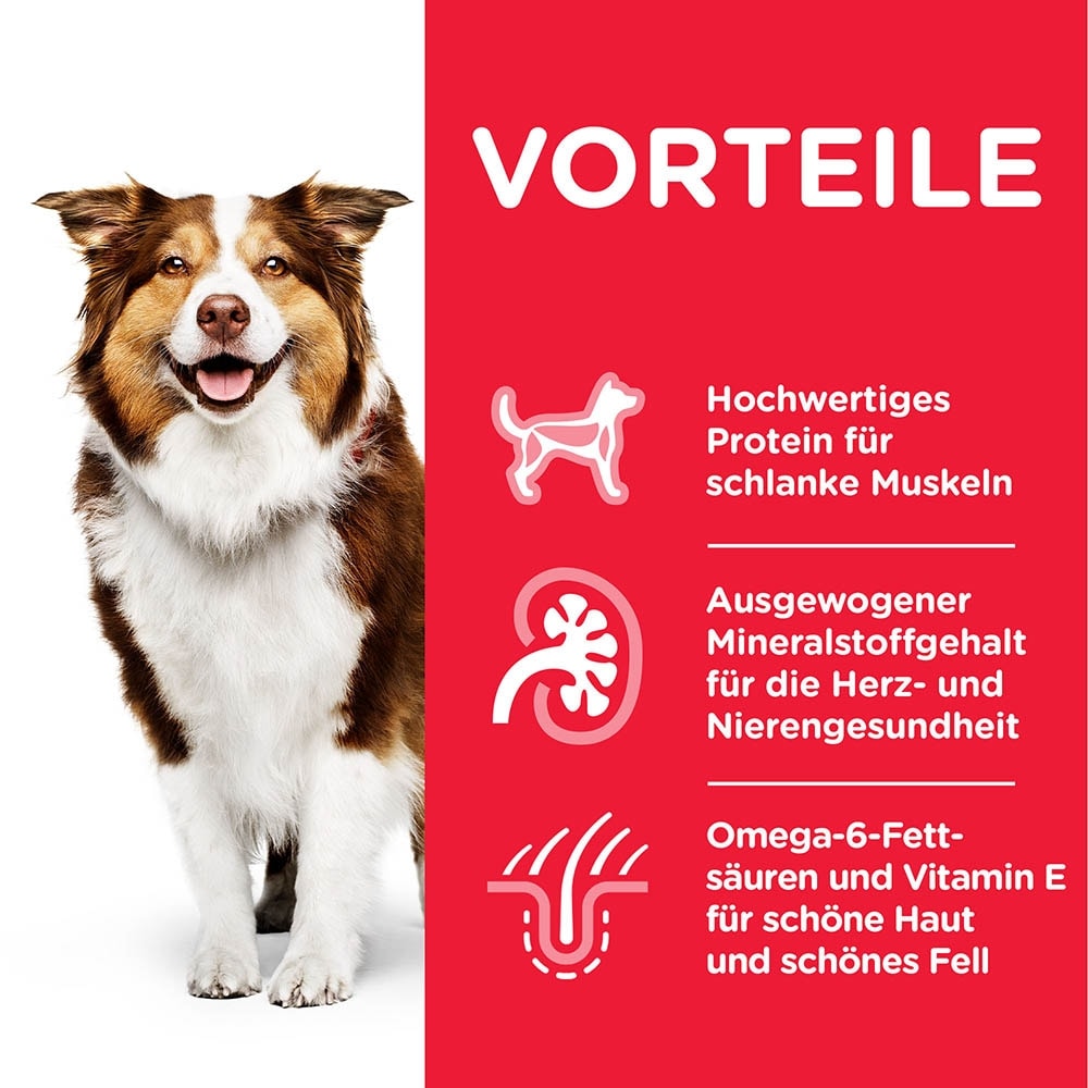Hills Science Plan Mature Adult 7+ mit Huhn Nassfutter für Hunde_2