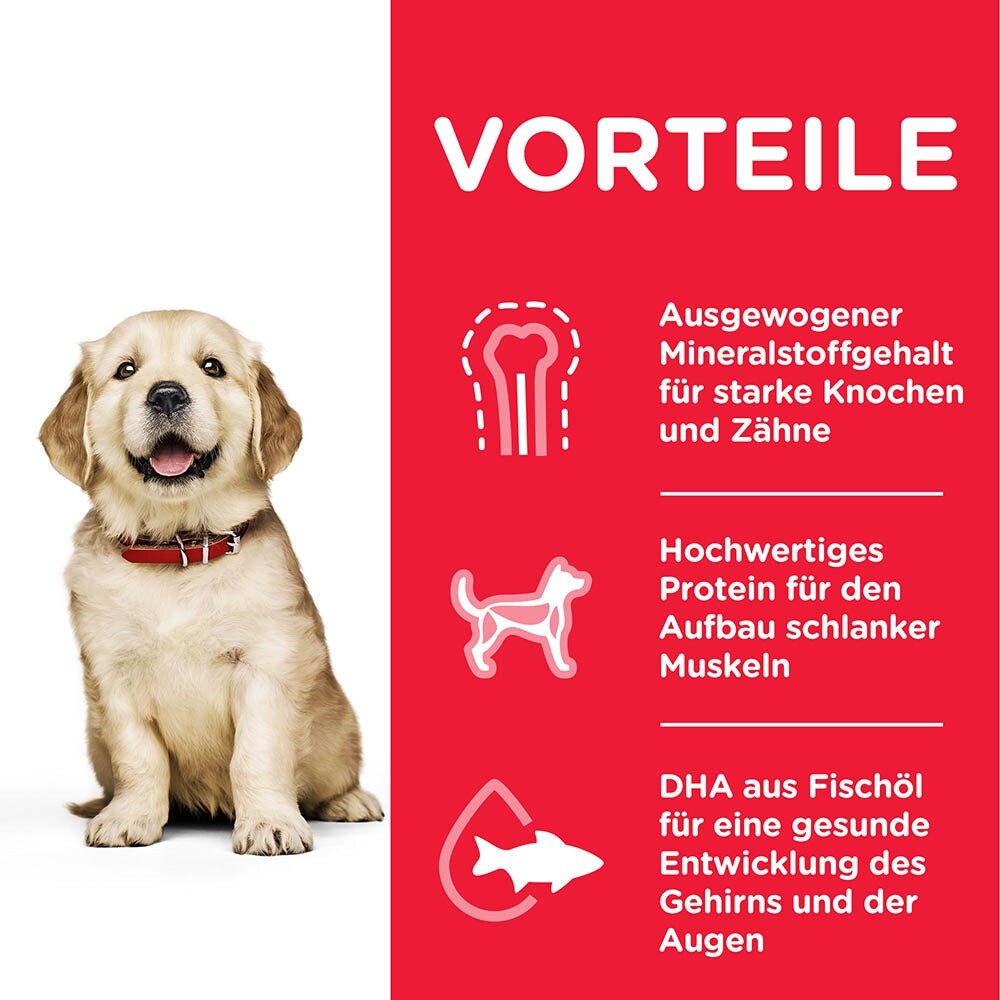 Hills Science Plan Canine Puppy Large Breed mit Huhn_3