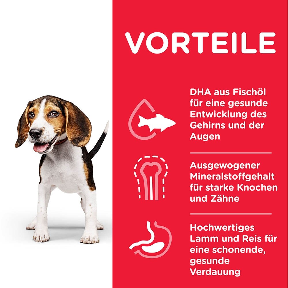 Hills Science Plan Canine Puppy Medium Lamm und Reis_4