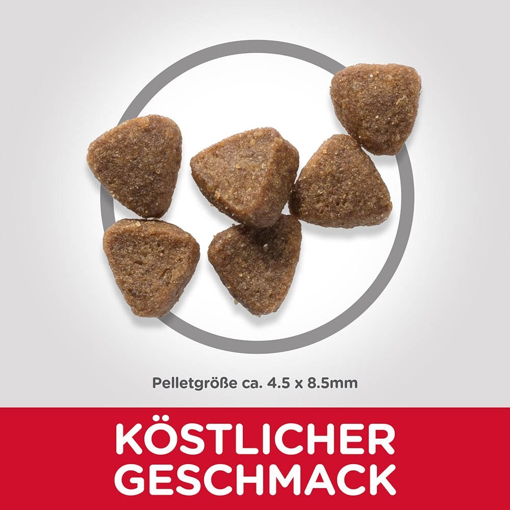 Hills Science Plan Feline Adult Huhn_3