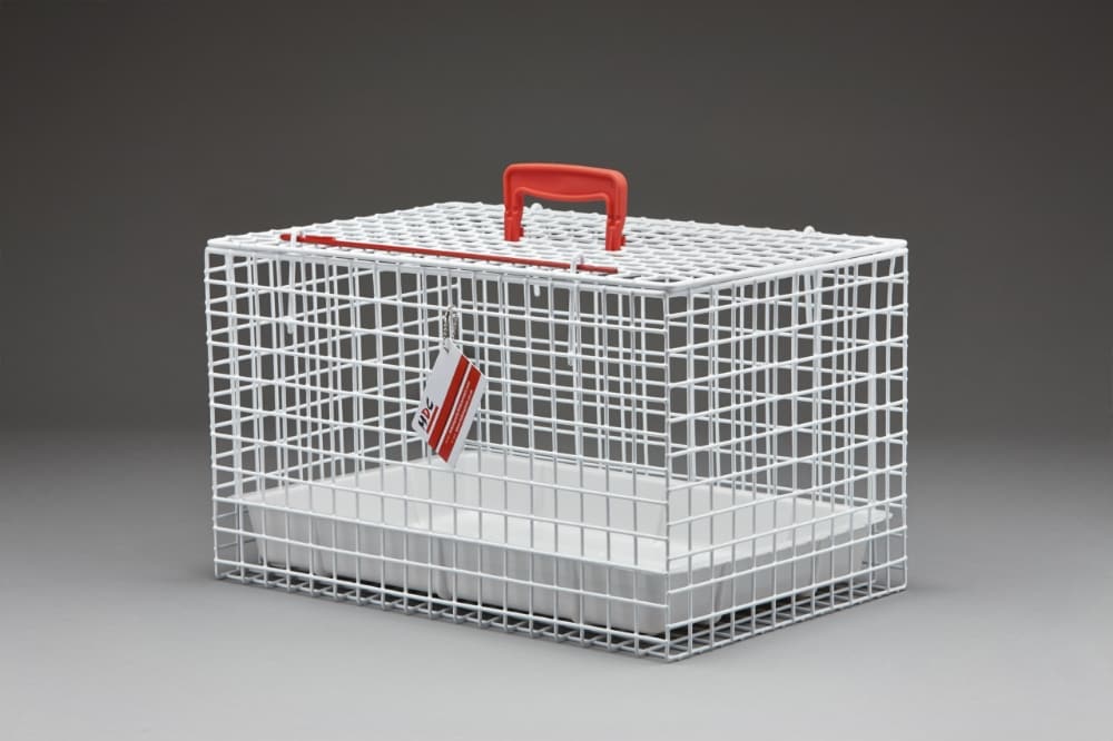 Katzenkäfig farbig_2