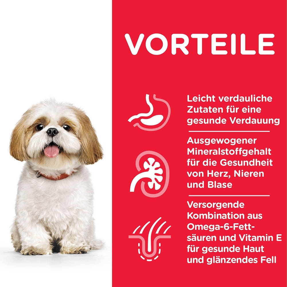 Hills Science Plan Mature Adult  Small & Mini Trockenfutter für Hunde_1