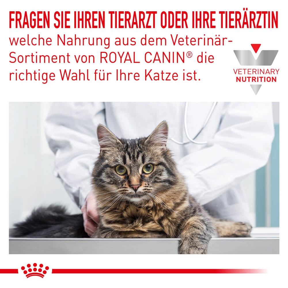 Royal Canin Veterinary Hypoallergenic Trockenfutter für Katzen Tierarzt24.de