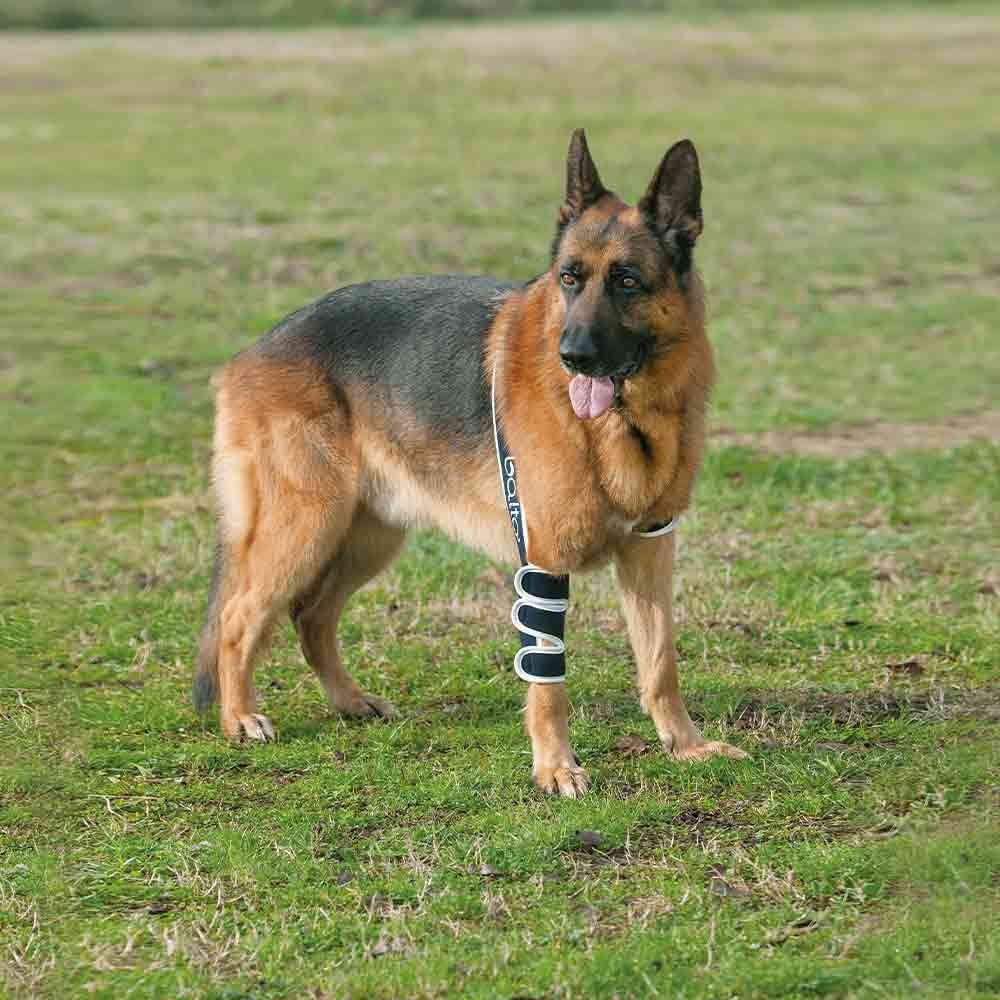 Balto Rehab Orthese BT Soft Rechts_2