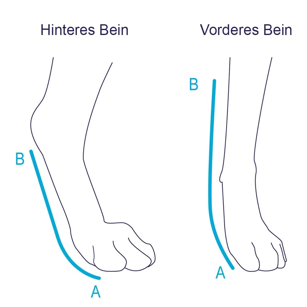 Balto Rehab-Orthese BT Splint _3