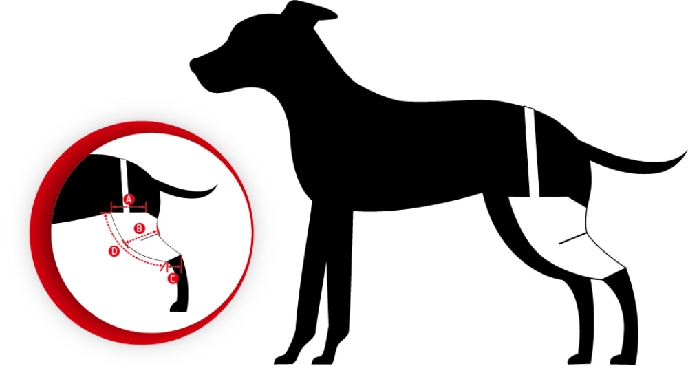 Tierarzt24 Neopren Knieprotektor links_2