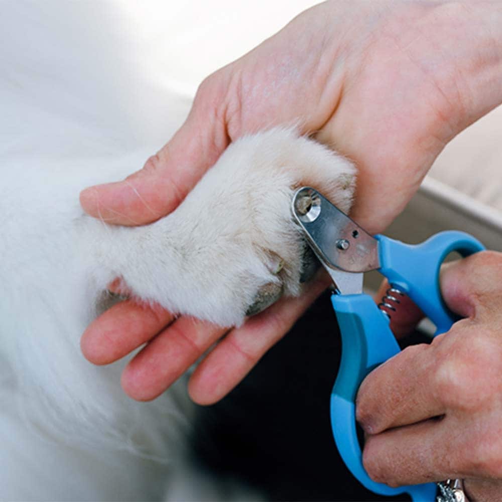 WDT Krallenschere "Zen Clipper" für Kleintiere_2