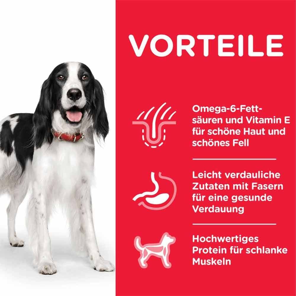 Hills Science Plan Adult Huhn Trockenfutter für Hunde_1