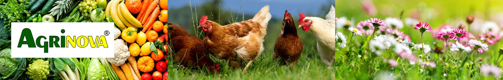 Agrinova