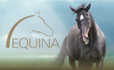 Equina