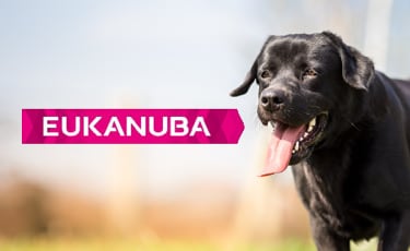 Eukanuba