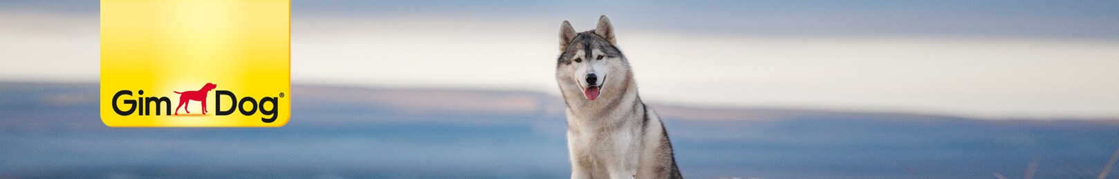 GimDog