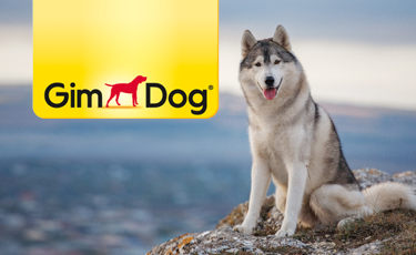 GimDog