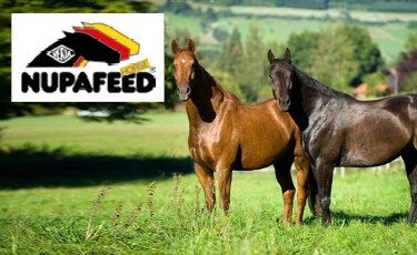 Nupafeed